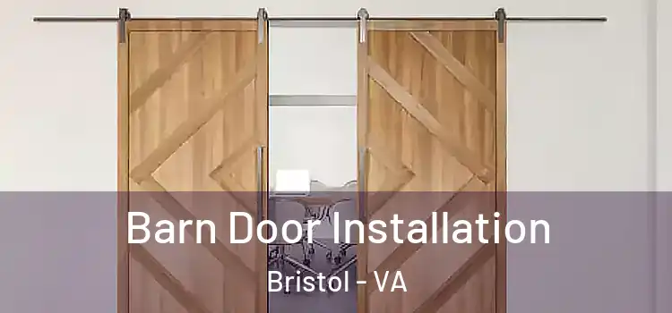  Barn Door Installation Bristol - VA
