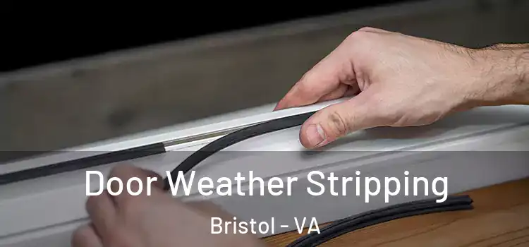  Door Weather Stripping Bristol - VA