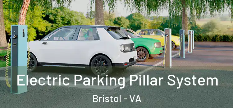 Electric Parking Pillar System Bristol - VA