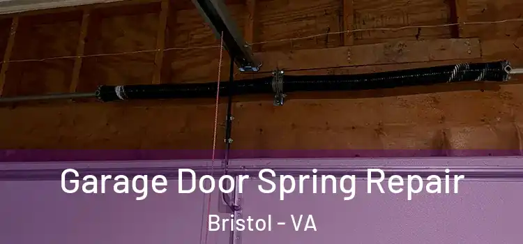  Garage Door Spring Repair Bristol - VA