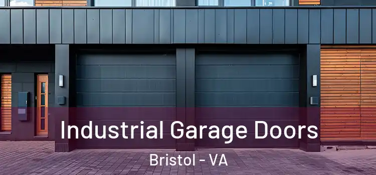  Industrial Garage Doors Bristol - VA