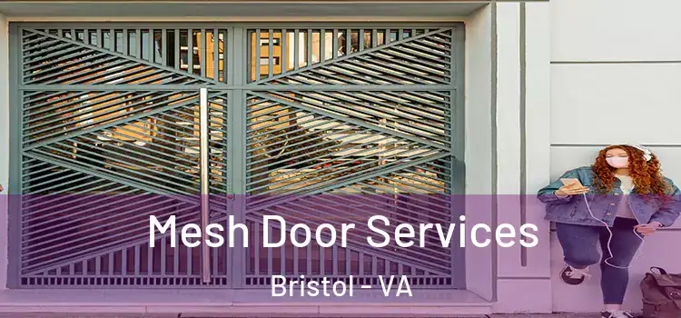  Mesh Door Services Bristol - VA