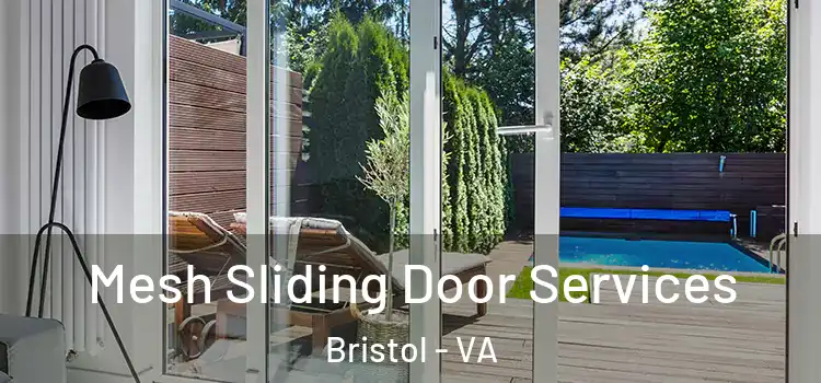 Mesh Sliding Door Services Bristol - VA
