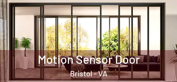  Motion Sensor Door Bristol - VA