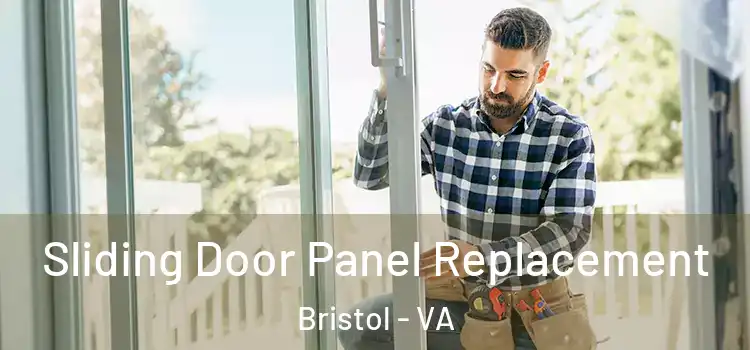  Sliding Door Panel Replacement Bristol - VA