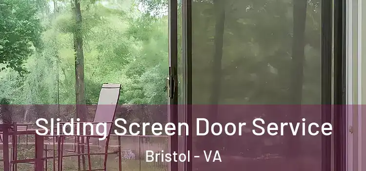  Sliding Screen Door Service Bristol - VA
